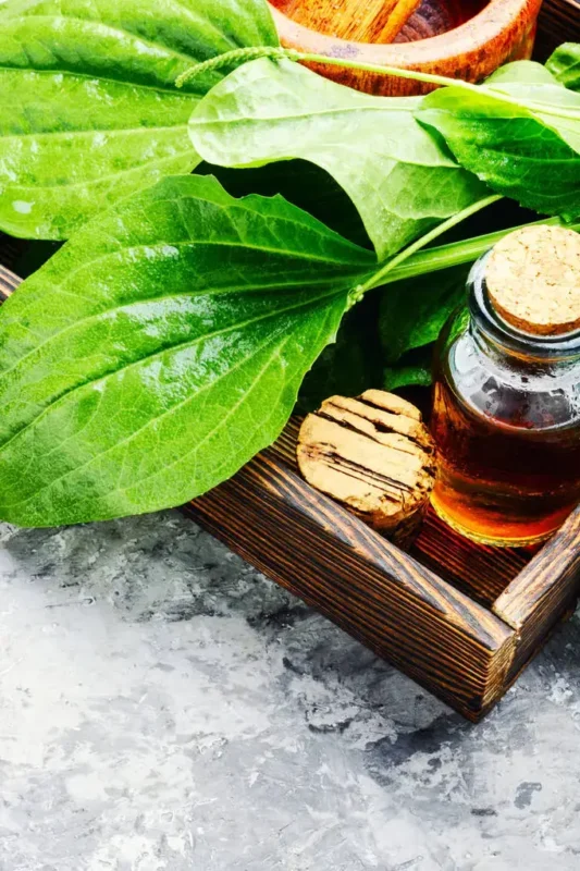 Beauty Tips - Well Health Organic.Com Your Natural Glow Starts Here 