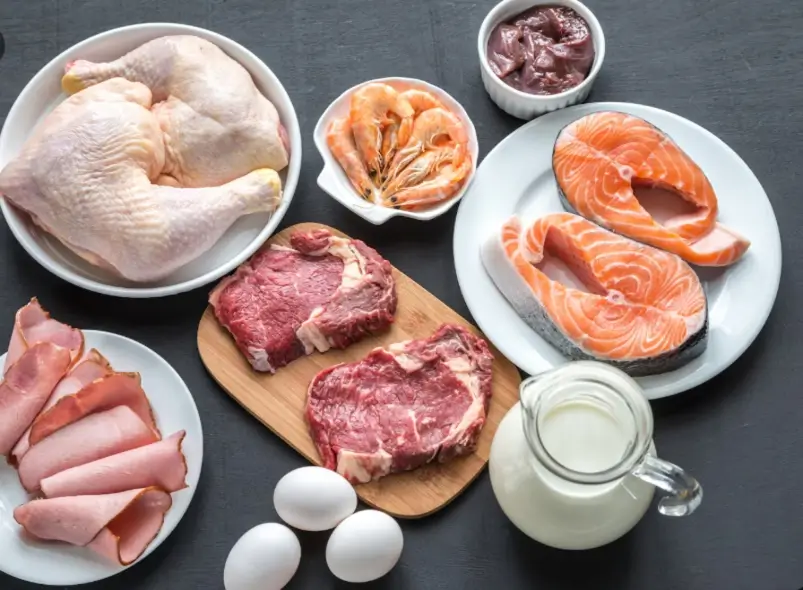 High Protein Muscle Gain Diet