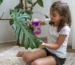 Ivy Rehab for Kids