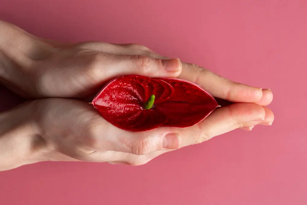 The Role of Sexual Health Education in Combating Medical Misinformation